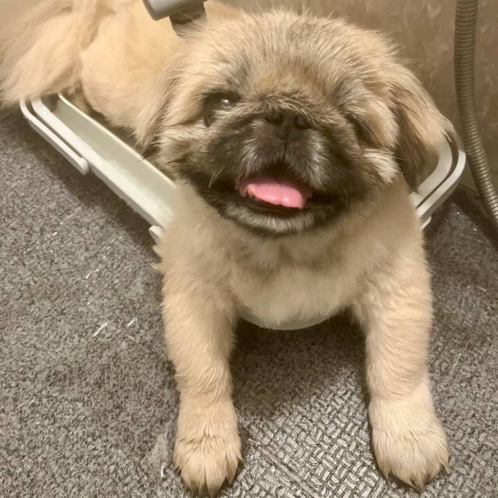 D71dc2ec 85dd 47ec 950d 449cd57b206f 1722685040423