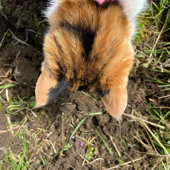 D71e26e7 d0f8 4bf9 b5c3 be03ce8cbde7 1649054539190