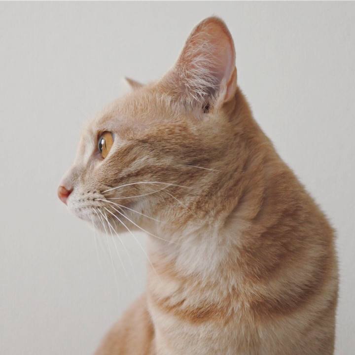 D71e368e b2ee 4aac a470 6def2d7720ac 1569290002211