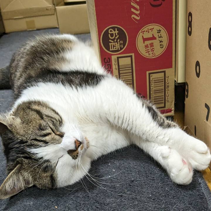 D71e5798 0db4 4a3a b692 16fe36bd874d 1714744856474