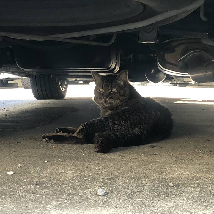 D71e6fe5 af72 4b7b bcf6 88529b72674e 1656522488450