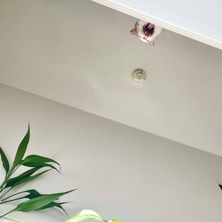 D71e7160 7a32 4ee6 8862 6b9bb035f76f 1725892125897