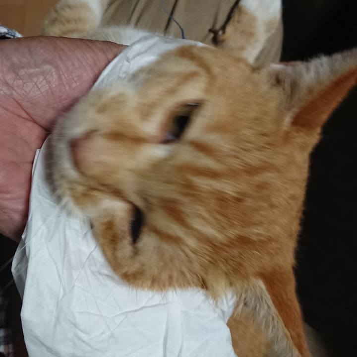 D71e73bf 8034 41bb b396 eefe65ac2556 1604708062954