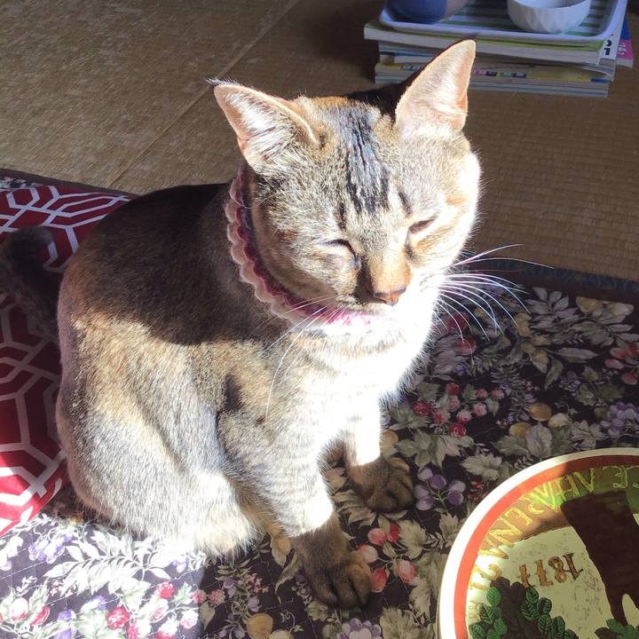 D71e8743 b159 4aa9 9a2d 5641a710cd00 1618960672631