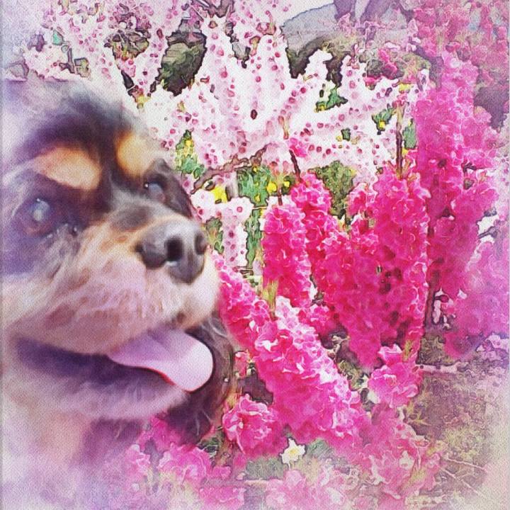 D71e94fa 4aa2 42aa 857f 397daccebeba 1551848845671