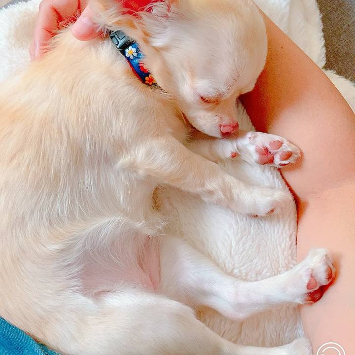 D71ed088 73e6 4227 b9bd 6be1394be44c 1630387273663