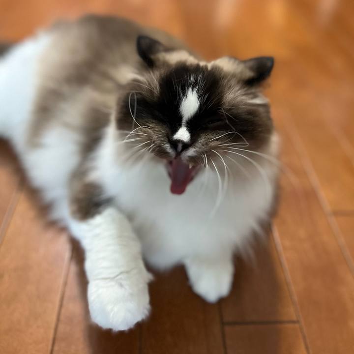 D71ee12f c2ca 4a4d 8f13 cbd3e70ad9ab 1692141445791