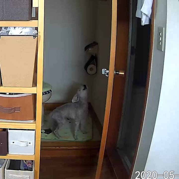 D71f0798 2da2 4de0 814f e153b36086a4 1590637879002