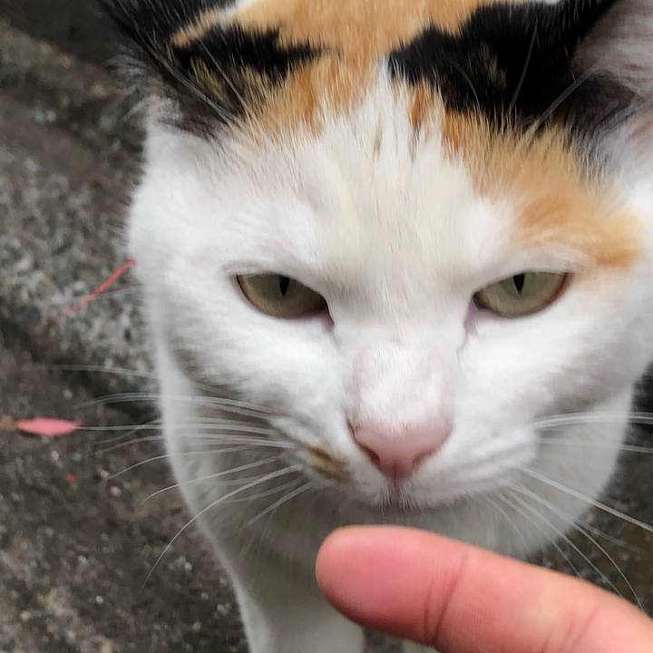 D71f23e8 8c7d 467e 9d3e 6c6237d79f31 1589716236211