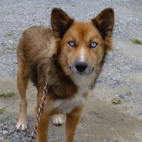 D71f263a 3f2a 42f5 89de 9b0c295b8e9d 1531924834845