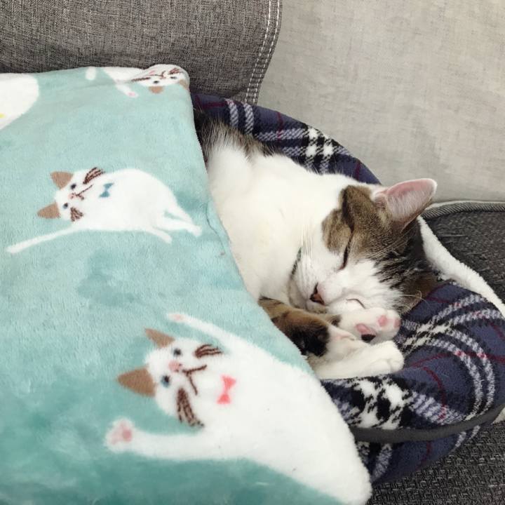 D71f3d5e 48e5 42fa afa3 f6d0a6b9aae0 1574053065970