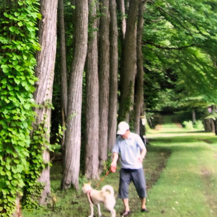 D71f4306 4af0 492f 8263 2dc48eb03d56 1577599504695