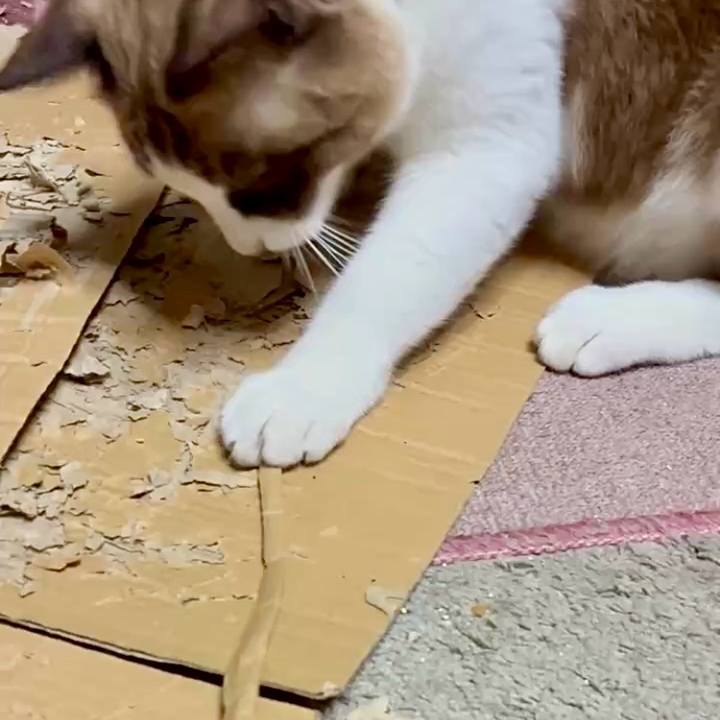 D71fa748 e3e6 4af7 8393 2041a93aed16 1760355330179