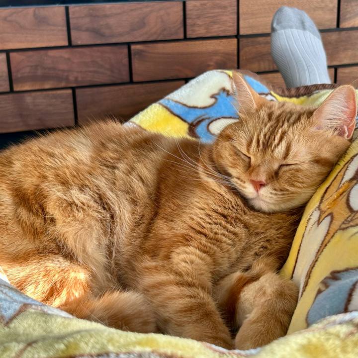 D71fe84f 48ae 4654 8965 7311a347c5cb 1698552475478