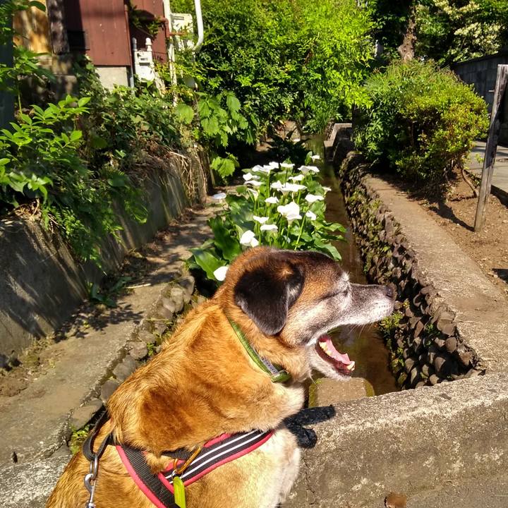 D72011ec 321c 4e8b a74d b62828226524 1558657495760