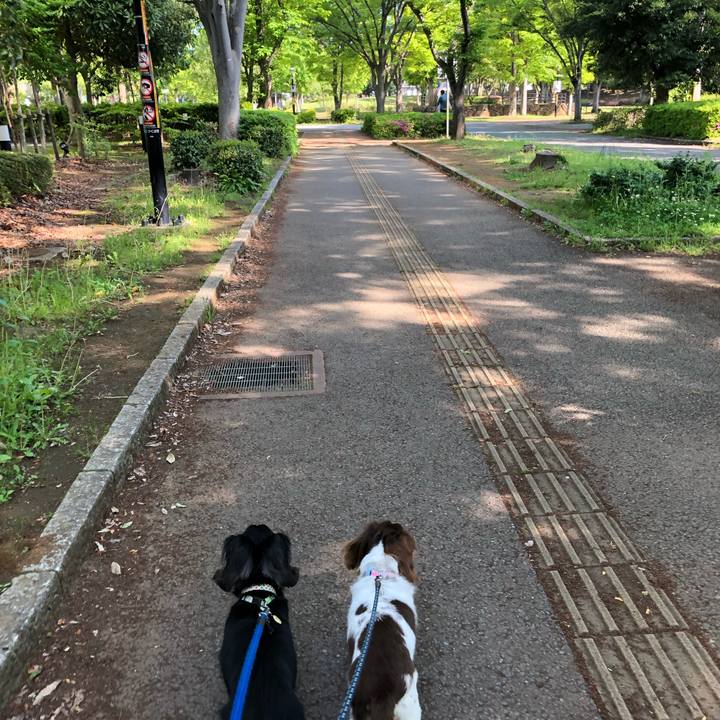 D72013c6 2027 4ecd bd23 2d117bfa4c69 1557021907972