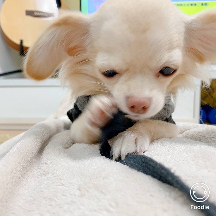 D720359a 93aa 4f5a a09e 30b376df73d9 1603090853292