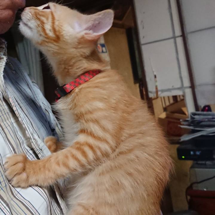 D7206f55 9676 42d2 8b1d 93c34556b96b 1631448691273