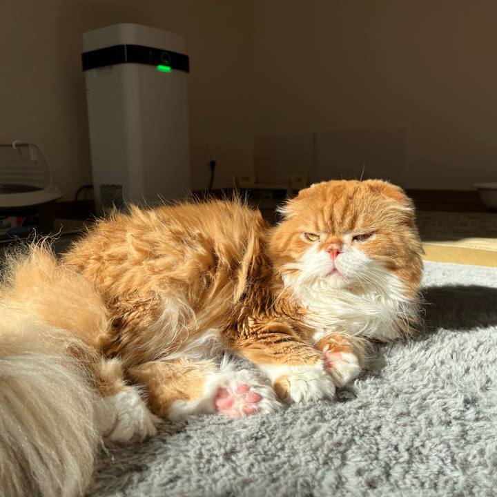 D72073bc 52bf 4eaf b47a 874ef24c3c9f 1768012079014