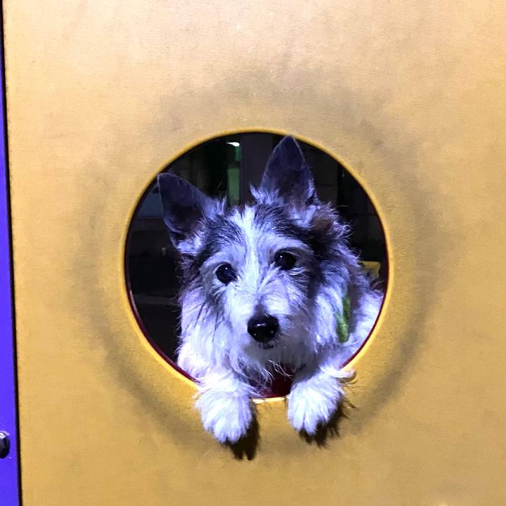 D720b1cf 9cf9 433f 9d73 573a22d4e69d 1617802636451