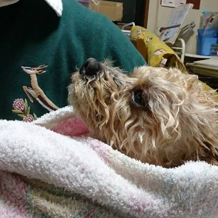 D720df0f fe9a 403f 8cde f27d770d8043 1525522969219