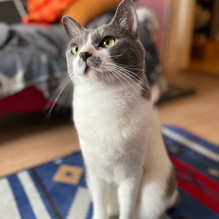 D720f674 4fc2 4120 978d 4ddc39d872e4 1662863353861