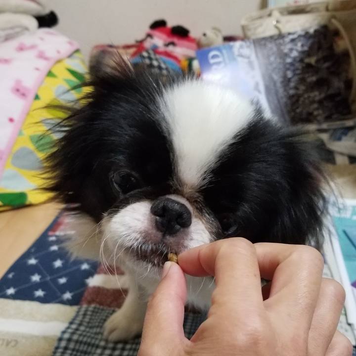 D720f74e 3850 464c 8995 4127f8408333 1638311480041