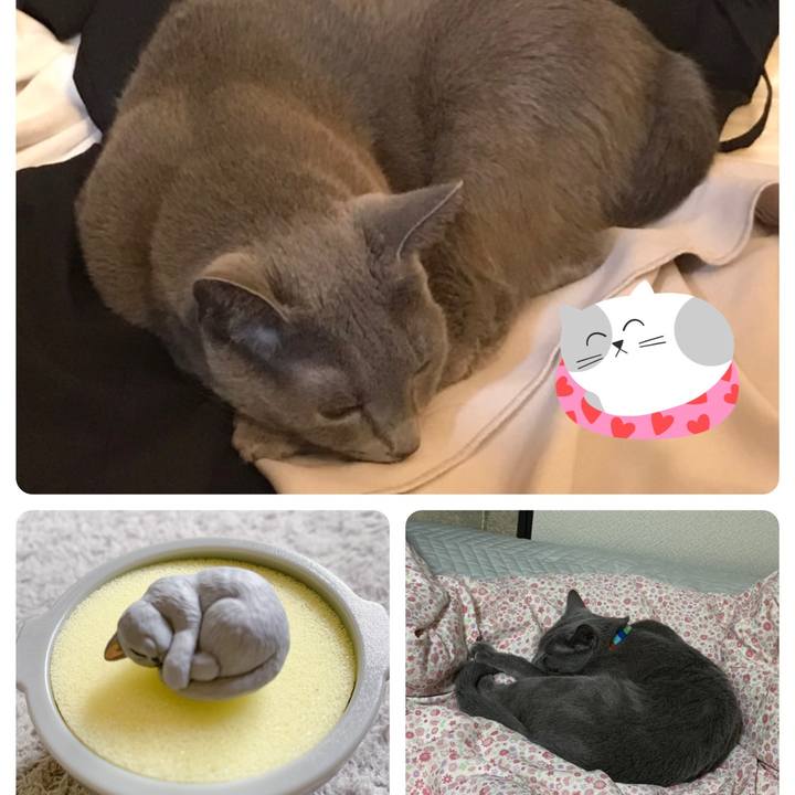 D720f903 10e1 42c6 9352 d1b03b097be2 1666590012071