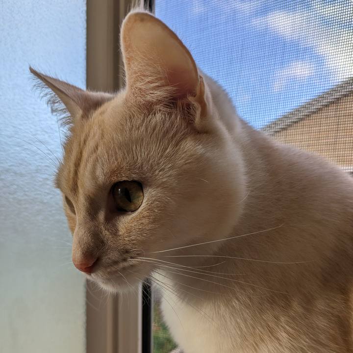 D720fdca 3582 4720 aa38 8512d56a2cb8 1702426851441