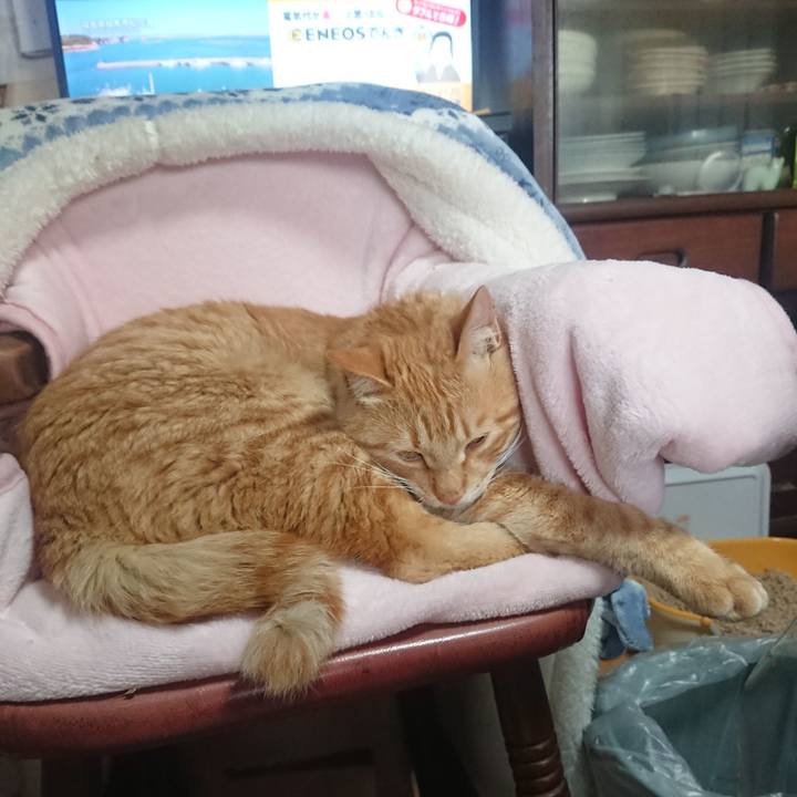 D7210c26 74d1 4d5c 9fc7 c7a49b277703 1651323401075