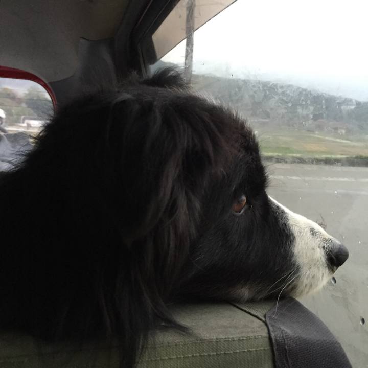 D72137e2 e6df 4f70 9729 f11473aa2a04 1543617321801