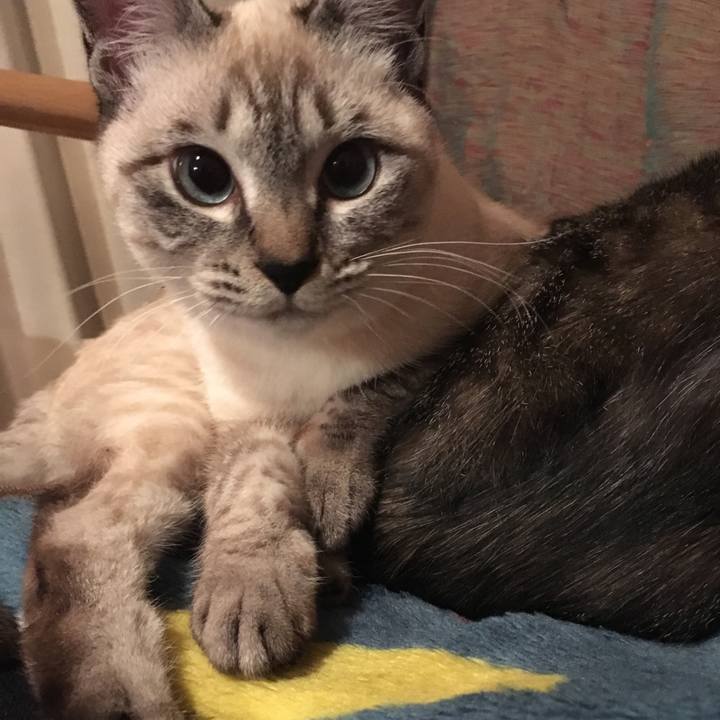 D7213cb8 27df 42e3 8896 baf26cff22c2 1547205321164