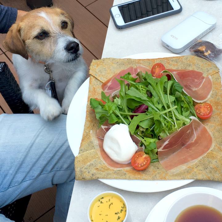 D721438a ef0f 40fd 8f77 d80f67eee0d2 1540895587335