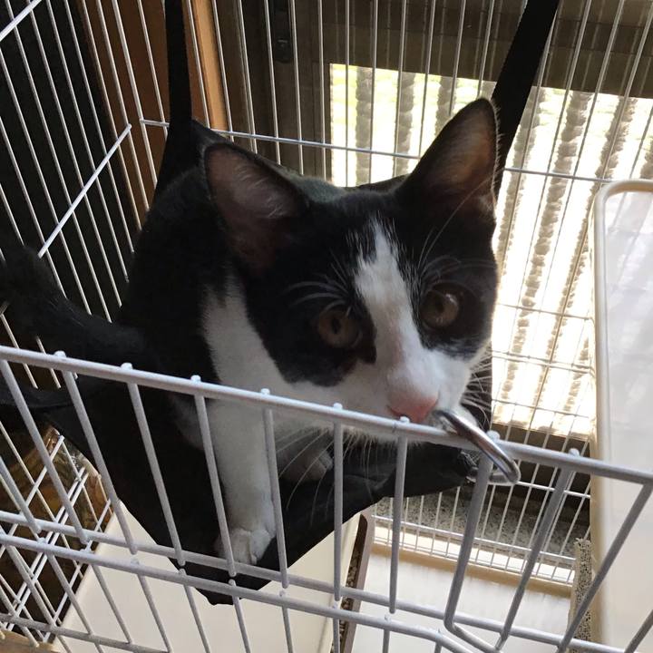 D7214c7d ed61 4862 a2ff f0a57feeda0b 1630131803394