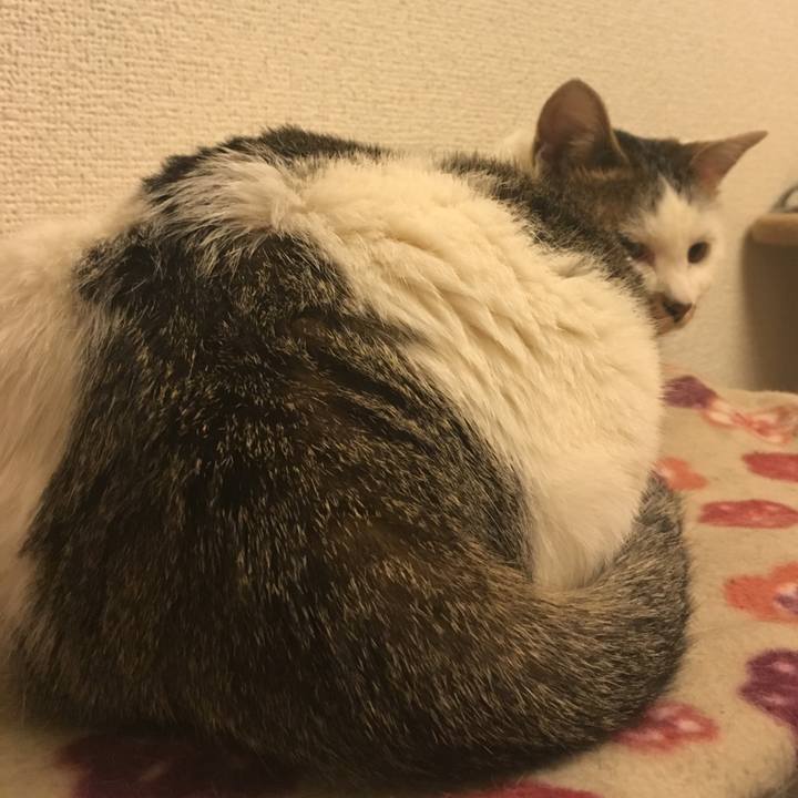 D7217659 5086 495d 9960 40c683b9dd65 1518249044579