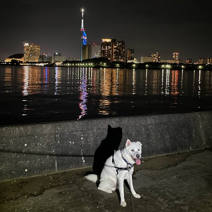 D72177e0 6313 4726 955b 0e5342674d8d 1752929625477