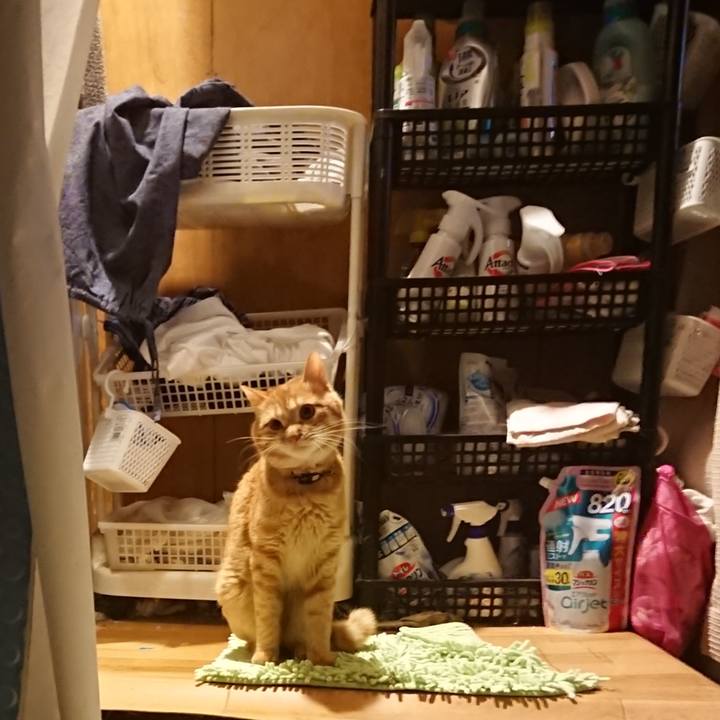 D7217c7d d0a8 46a2 981a a77cba04f2e0 1654688811623