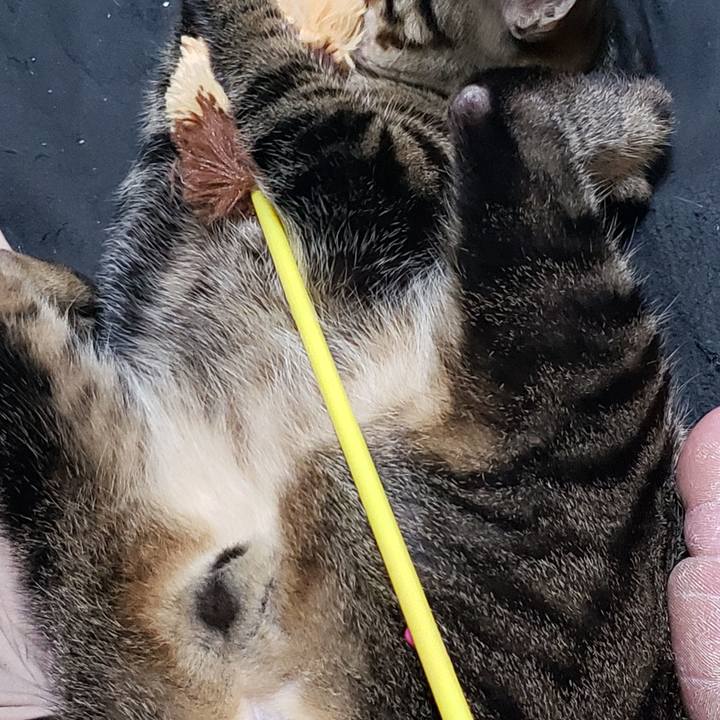 D7218a04 da3a 4664 854e 2585800afcb2 1557073610898