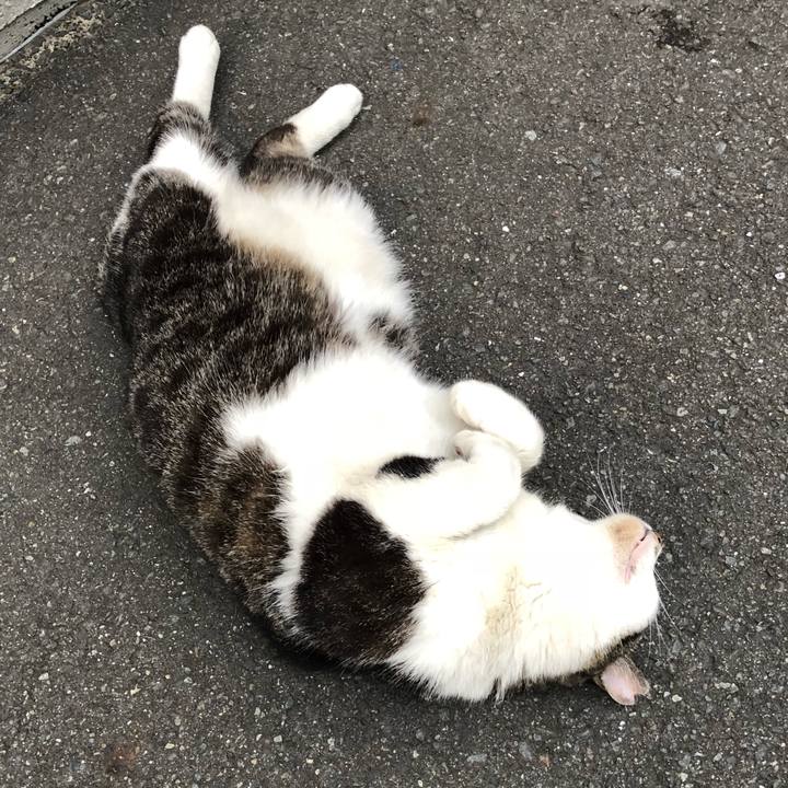 D7219745 f253 4b37 afec e106592cf9c6 1526642150354