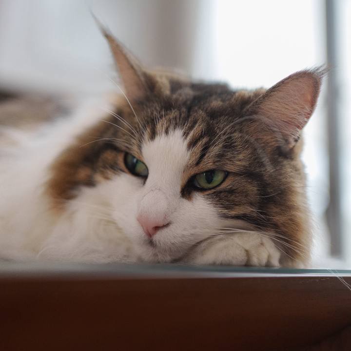 D721a6d0 4e5b 4142 8224 d637cc07708b 1725438606967