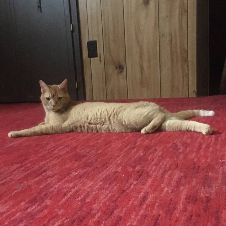 D721b31c 4203 48a5 ac77 7826e2ca4617 1633795254247