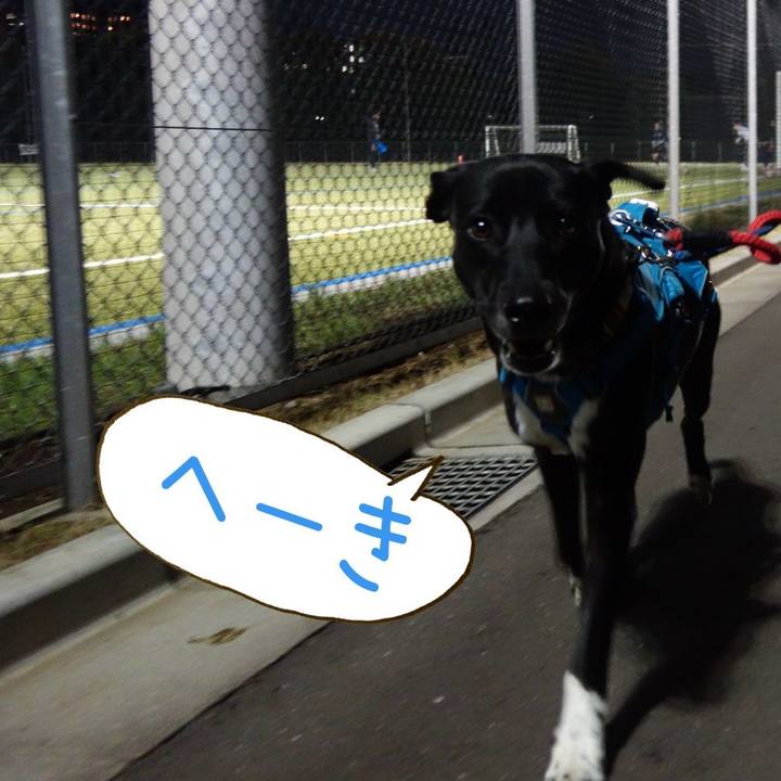 D721b57e 6dca 47be 9ecc 3f5f39b8c7cf 1616669344048