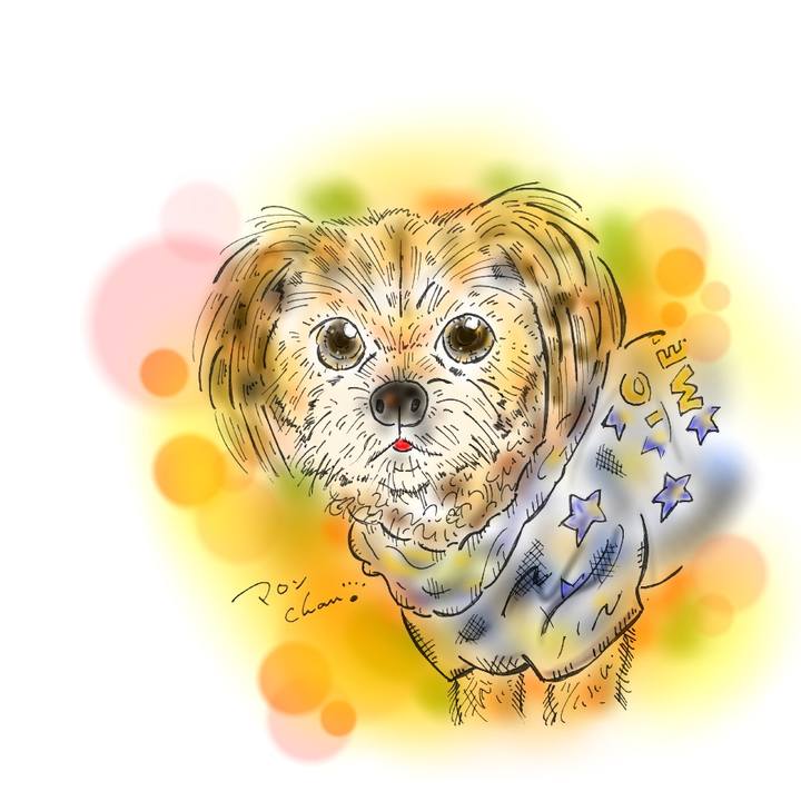 D721d4a0 4e50 4a17 b75c 6ba2db65b513 1584541398017