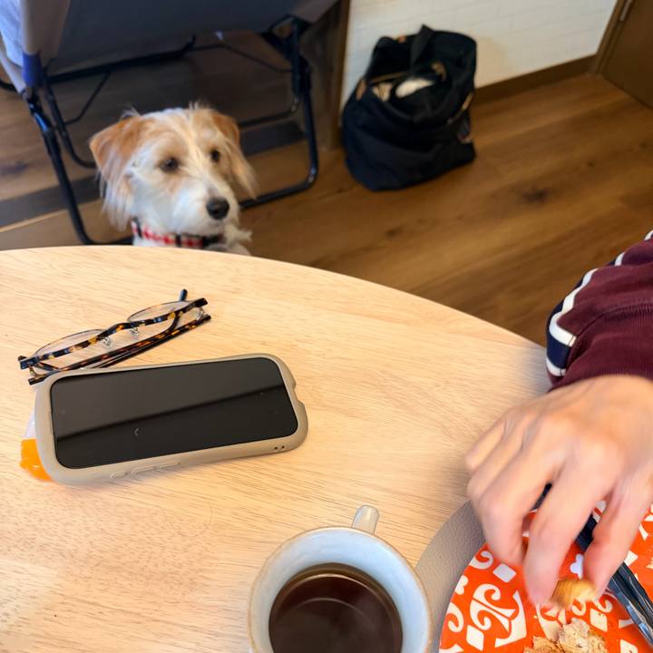 D721d5ad cd65 4fb3 81e8 f1b8de531c78 1772576704764