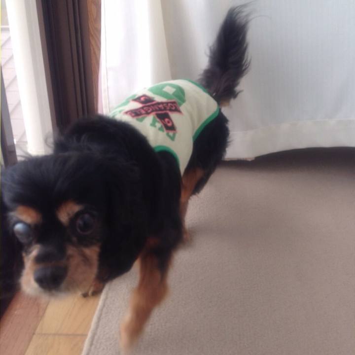 D721ff9a 91cd 4088 bfd0 9992521a14be 1565693829269