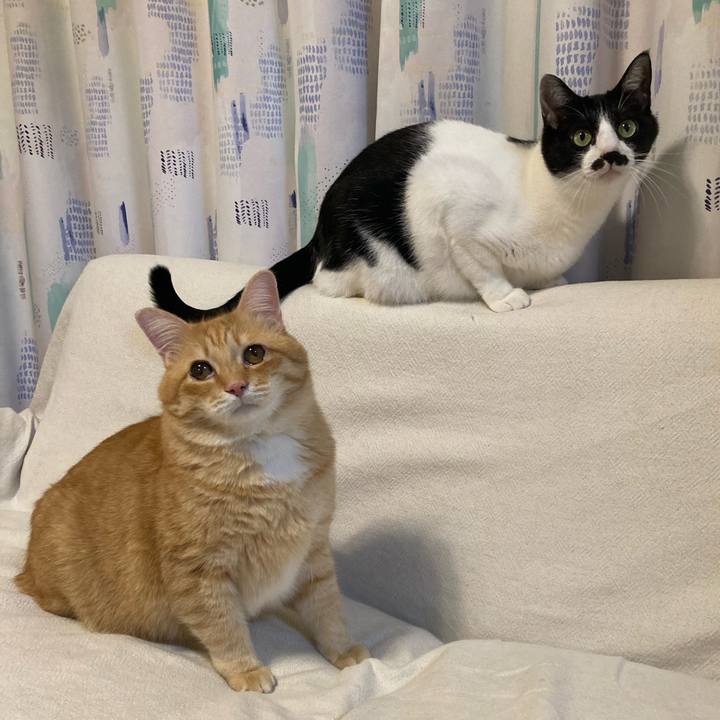 D72213d3 828b 481d b07e 892fcd077aa3 1764597647891