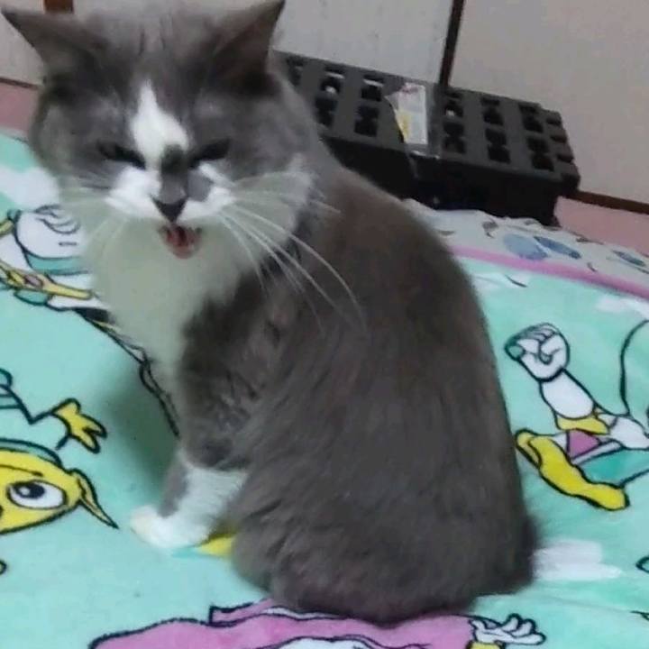 D7221f02 b0e5 4b02 a525 93c13235ab1a 1696939390403