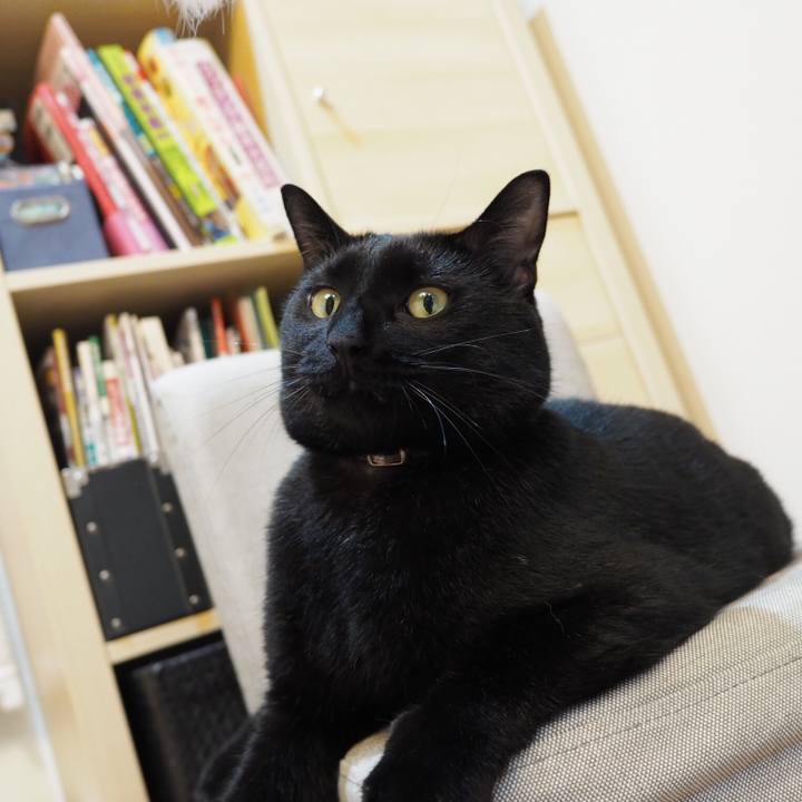 D72245aa d60f 45d6 81d5 6bc026a2b433 1534203182487