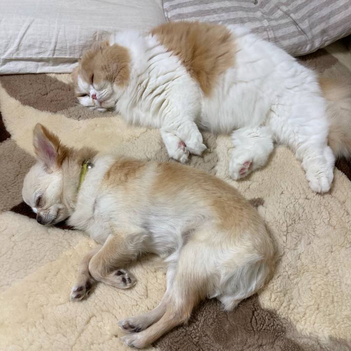 D7224abe 7016 4f6a 8b04 911feab5ac72 1603632388440