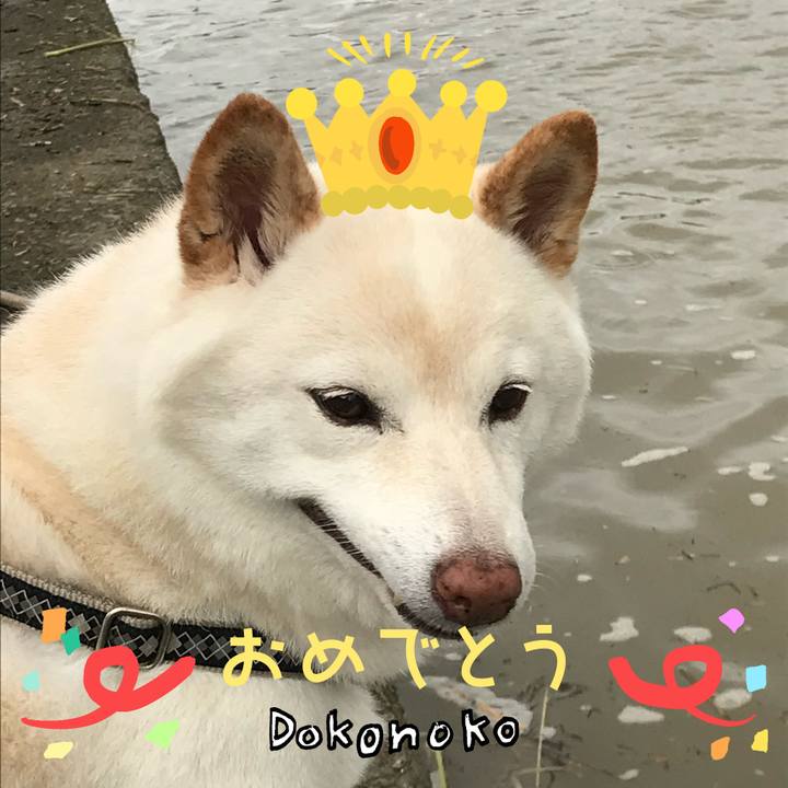 D72257c4 9bdb 418a b484 82c1d53d8b1f 1685964295639